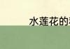 水莲花的种植与养护技巧