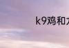 k9鸡和九斤黄哪个大