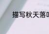 描写秋天落叶的优美句子摘抄