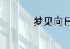 梦见向日葵意思是什么