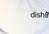 dish的意思是什么