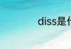 diss是什么意思中文