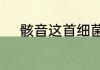 骸音这首细菌污染表达什么意思