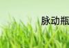 脉动瓶口直径多少