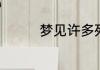 梦见许多死人是什么意思