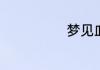 梦见血什么意思