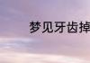 梦见牙齿掉流血是什么意思