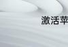 激活苹果手机步骤