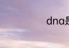 dna是什么东西