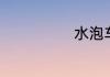 水泡车是什么车