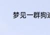 梦见一群狗追别人是什么意思