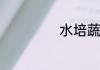 水培蔬菜怎么种植
