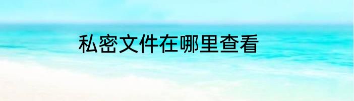 私密文件在哪里查看