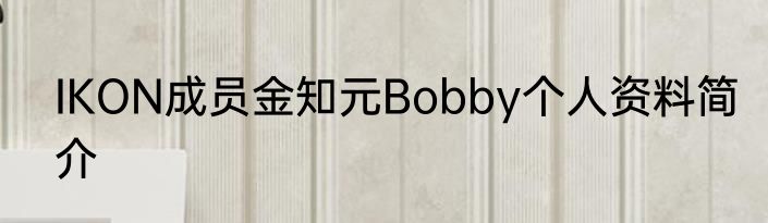 IKON成员金知元Bobby个人资料简介