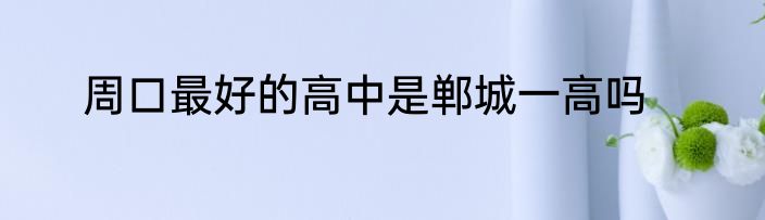周口最好的高中是郸城一高吗