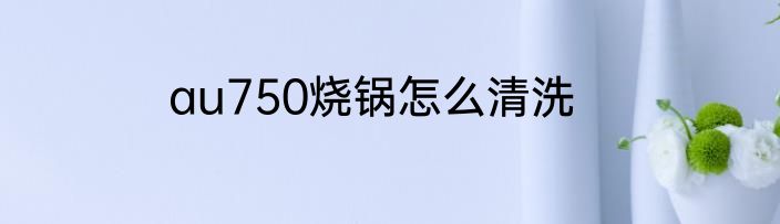 au750烧锅怎么清洗