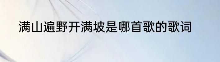 满山遍野开满坡是哪首歌的歌词