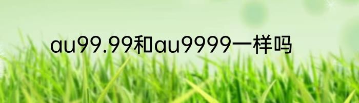 au99.99和au9999一样吗