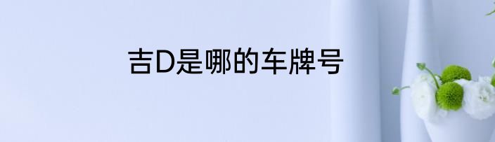吉D是哪的车牌号