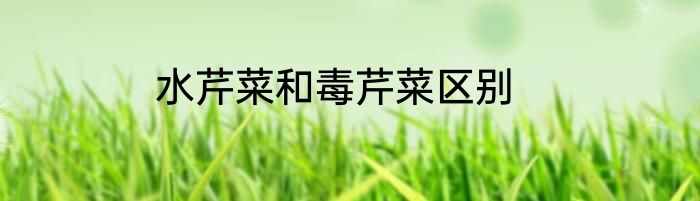 水芹菜和毒芹菜区别