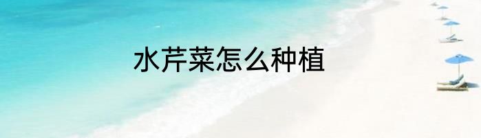 水芹菜怎么种植