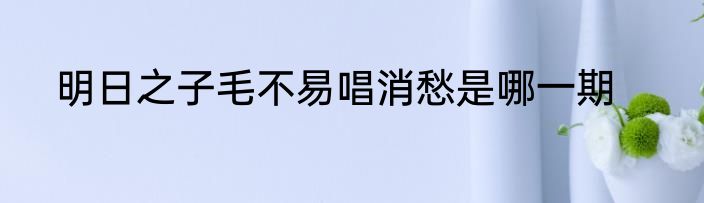 明日之子毛不易唱消愁是哪一期
