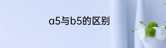 a5与b5的区别
