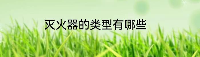 灭火器的类型有哪些