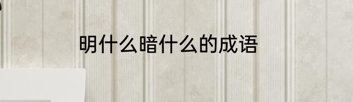 明什么暗什么的成语