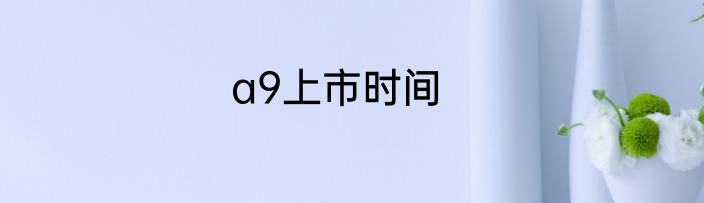 a9上市时间