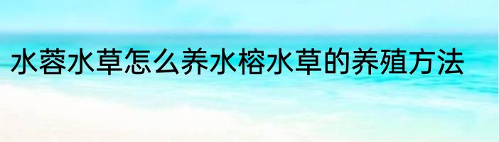 水蓉水草怎么养水榕水草的养殖方法