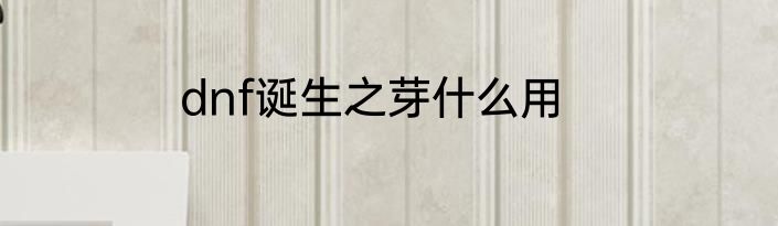dnf诞生之芽什么用