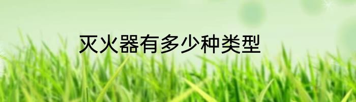 灭火器有多少种类型