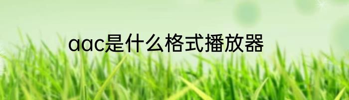 aac是什么格式播放器