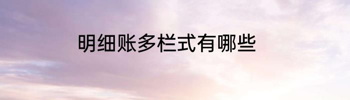 明细账多栏式有哪些