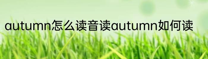 autumn怎么读音读autumn如何读