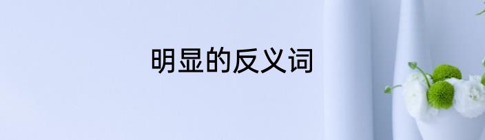 明显的反义词
