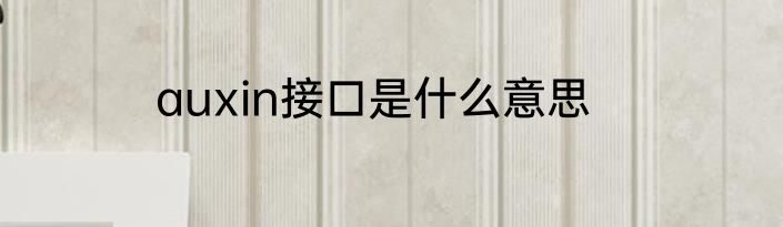 auxin接口是什么意思