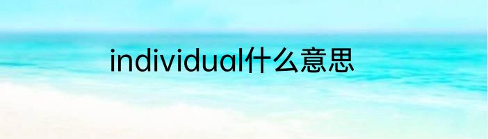 individual什么意思