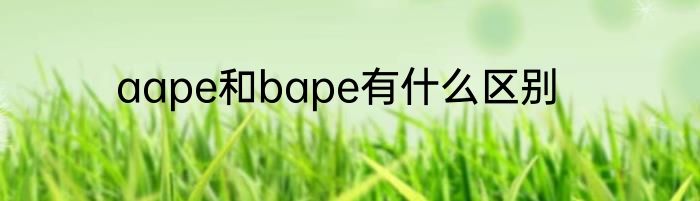 aape和bape有什么区别