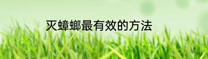 灭蟑螂最有效的方法