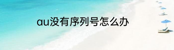 au没有序列号怎么办