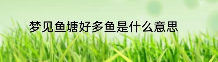 梦见鱼塘好多鱼是什么意思