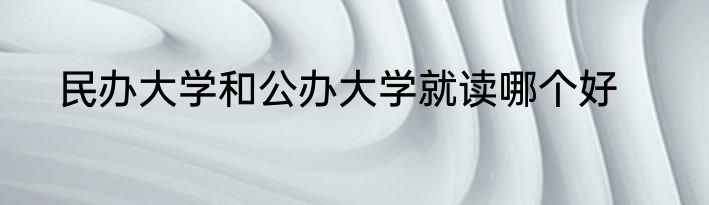 民办大学和公办大学就读哪个好