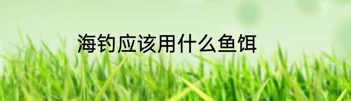 海钓应该用什么鱼饵