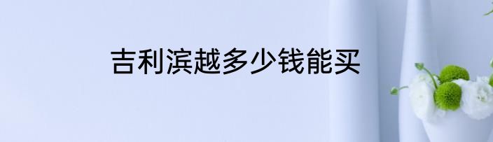 吉利滨越多少钱能买
