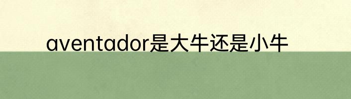 aventador是大牛还是小牛