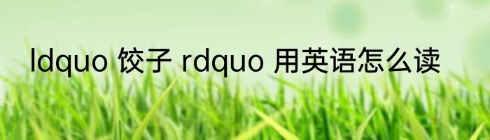 ldquo 饺子 rdquo 用英语怎么读