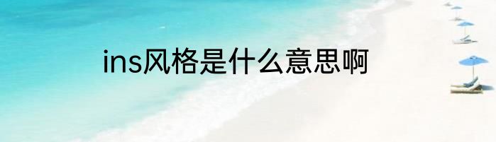 ins风格是什么意思啊
