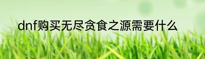 dnf购买无尽贪食之源需要什么